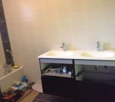Pose des meubles de salle de bain