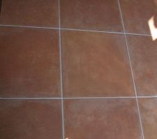 Carrelage principal RDC