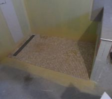 Pose du sol de la douche