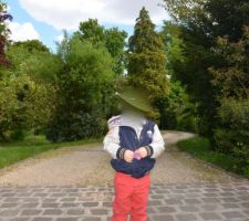 Photo du terrain vu de du portail.
Le jour même ou nous avons craqué et d'ou tout a commencé !