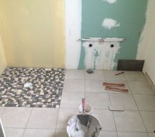 Sol de la SdB parentale