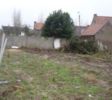 Fin des arbres cabane