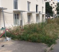 Facade jardin lot de triplex.