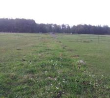 Le terrain est pret : cloture d&eacute;plac&eacute;e, electricit&eacute; remise afin que les chevaux ne soient pas tent&eacute;s.