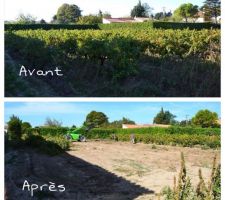 Avant il y avait des vignes, mais &ccedil;a c'etait avant !