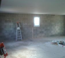 Au milieu, pour la salle de bain, il est bien indiqué qu'il faut du placo "Yesil", c'est-à-dire vert.
