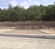 Entr&eacute;e lot n&deg;10