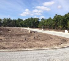 Vue vers l'entr&eacute;e du lotissement