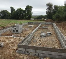 Vide sanitaire en cours