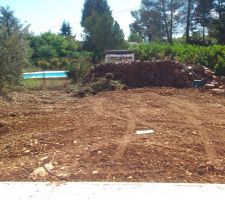 Le jardin