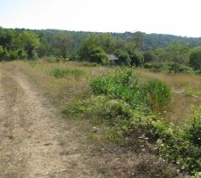Le terrain, pas encore d&eacute;brouissaill&eacute; !