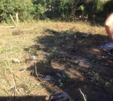 TERRASSEMENT ET ABATTAGE DES ARBRES