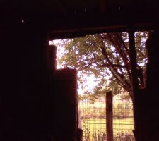 Debut appart provisoire