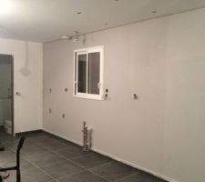 Peinture d'un des murs de la cuisine