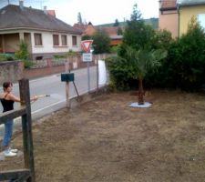 A la place du beton , du gazon ......