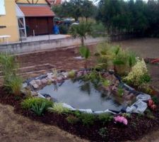 A la place du beton , du gazon ......