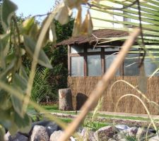 A la place du beton , du gazon ......