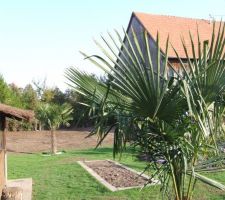 A la place du beton , du gazon ......