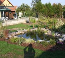 A la place du beton , du gazon ......