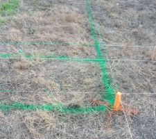 Implantation de la maison