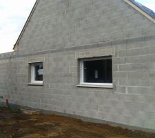 Fen&ecirc;tre fixe pour salle &agrave; manger, fen&ecirc;tre de cuisine et petite porte pour le garage