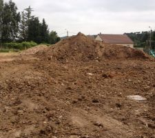 Voila notre jardin des bons coup de rateau et plus rien =P