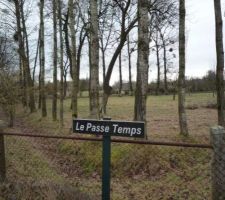 Notre terrain - les arbres seront coup&eacute;s pour plus de luminosit&eacute;