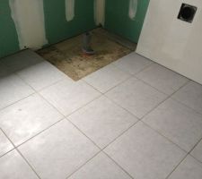 Salle de bain terminer nous n'avons pas voulu qu'il pose les plinthes