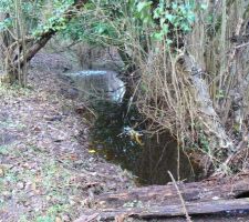 Les pluies de cette hiver n'ont pas laiss&eacute; le temps aux foss&eacute;s de se vider.