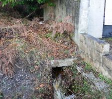 Et &ccedil;a coule bien