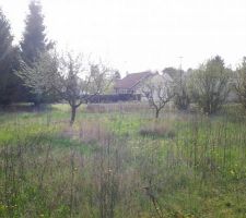 Notre terrain avant la viabilisation