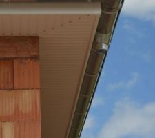 Gouti&egrave;res et d&eacute;bords de toit