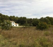 Terrain vu de l'Ouest