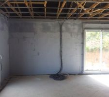 Projection d'a&eacute;roblue sur la brique