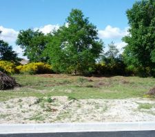 Le terrain d&eacute;broussaill&eacute;