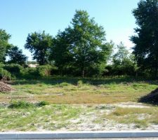 Le terrain d&eacute;broussaill&eacute;