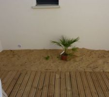 Patio, faut planter maintenant !