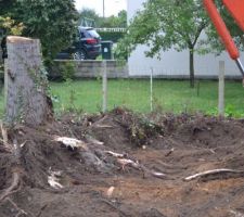 Dessouchage DES ARBRES