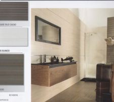 Choix pour la salle de bain d'en bas