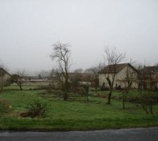 Terrain avant préparation abattage des arbres et repiquage des pruniers au fond du terrain