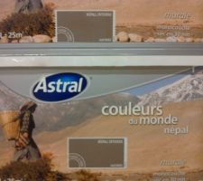 Peinture "Népal intense" (couleur taupe) que je pense associer à un "Népal moyen" (beige) dans une chambre.