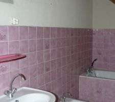 Très sincèrement, si cette salle de bain avait été mieux placée dans les volumes de la maison, j'aurais très sérieusement réfléchi a la garder ... mais bon.