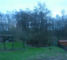 En plus du terrain, nous aurons aussi un petit bois d'environ 1000m2