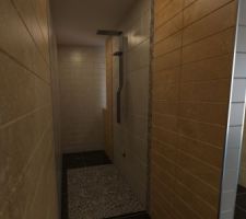 Et de la salle de bain, ici le côté douche italienne