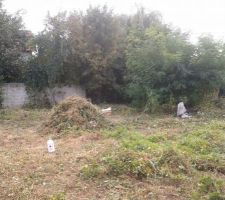 Debrousaillage du terrain