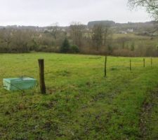 Nord du lotissement, en pente