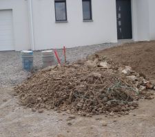 Avant de semer la pelouse, qques cailloux à ramasser...