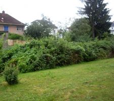 Avant le d&eacute;brousaillage