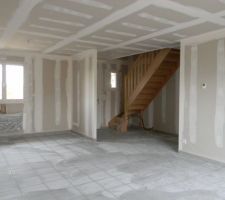 Il ne manque plus que la cloison des sanitaires sous l'escalier