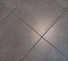 Carrelage des pièces principales